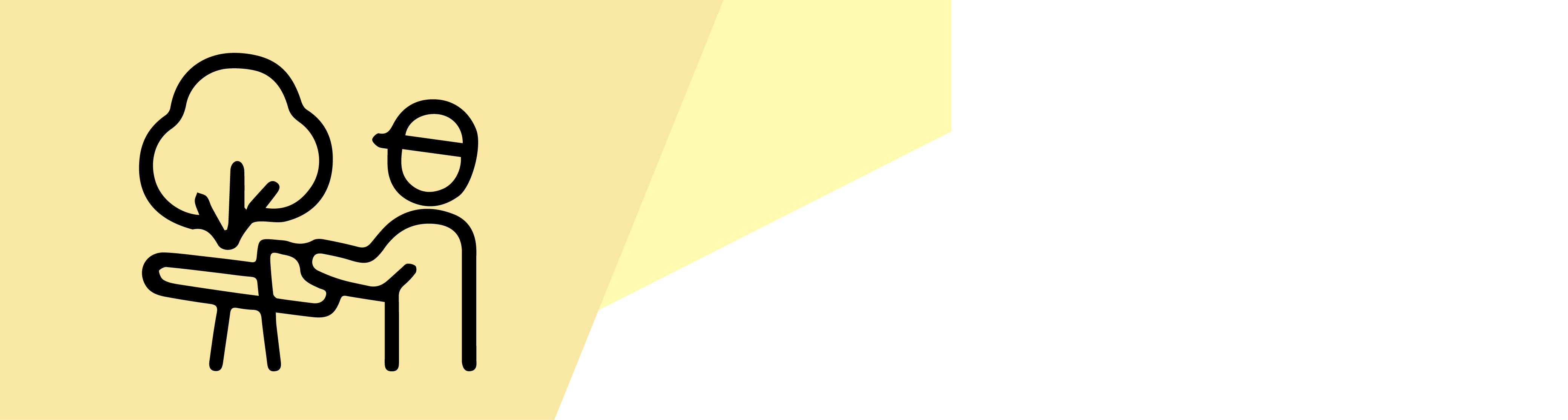 Poda y Tala de Árboles